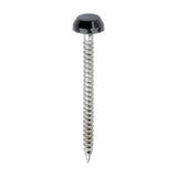 This is an image of Timco - Polymer Headed Pins - A4 Stainless Steel - Anthracite Grey 30mm (250 PCS Box) PP30AG