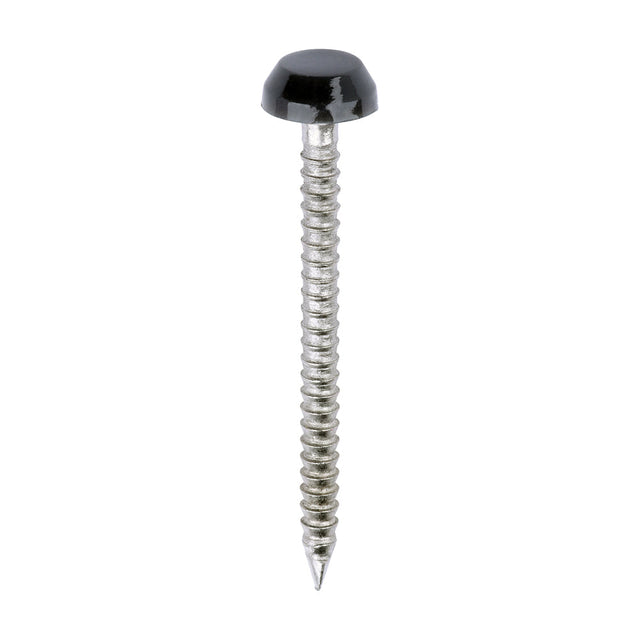 This is an image of Timco - Polymer Headed Pins - A4 Stainless Steel - Anthracite Grey 30mm (250 PCS Box) PP30AG