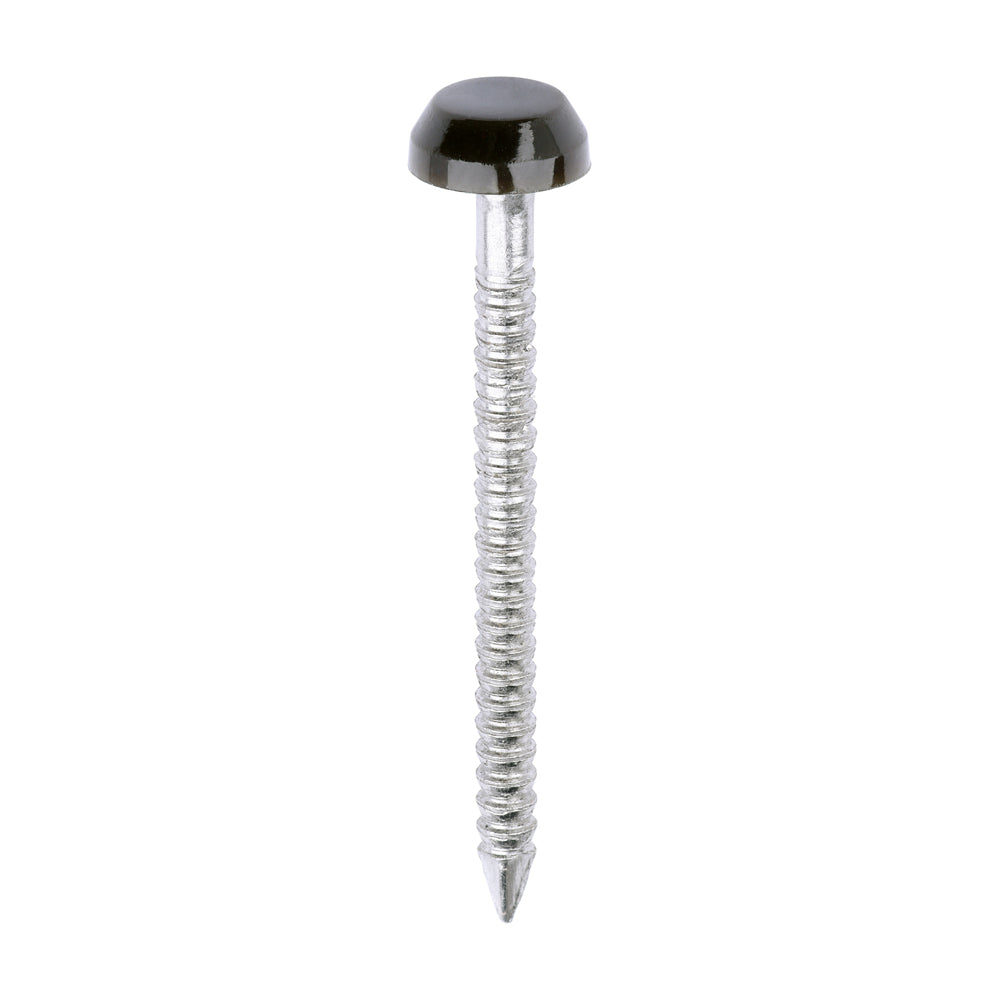 This is an image of Timco - Polymer Headed Pins - A4 Stainless Steel - Mahogany 30mm (250 PCS Box) PP30BR