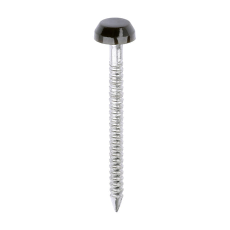 This is an image of Timco - Polymer Headed Pins - A4 Stainless Steel - Mahogany 30mm (250 PCS Box) PP30BR