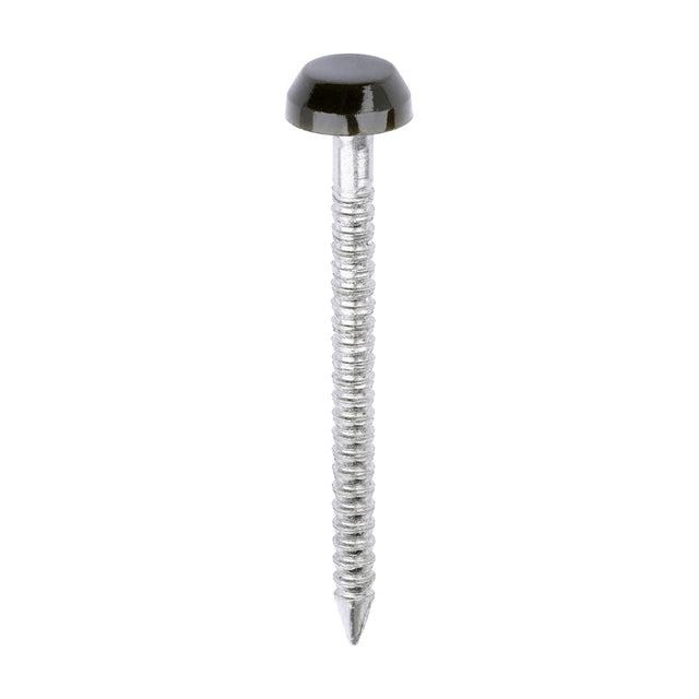 This is an image of Timco - Polymer Headed Pins - A4 Stainless Steel - Mahogany 30mm (250 PCS Box) PP30BR
