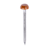 This is an image of Timco - Polymer Headed Pins - A4 Stainless Steel - Clay Brown 30mm (250 PCS Box) PP30CB