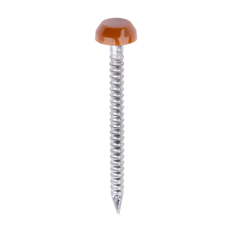 This is an image of Timco - Polymer Headed Pins - A4 Stainless Steel - Clay Brown 30mm (250 PCS Box) PP30CB