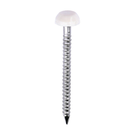 This is an image of Timco - Polymer Headed Pins - A4 Stainless Steel - Cream 30mm (250 PCS Box) PP30CC