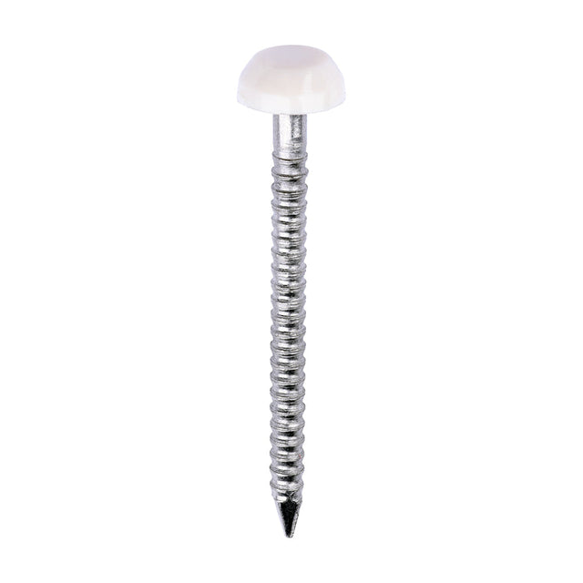 This is an image of Timco - Polymer Headed Pins - A4 Stainless Steel - Cream 30mm (250 PCS Box) PP30CC