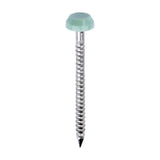 This is an image of Timco - Polymer Headed Pins - A4 Stainless Steel - Chartwell Green 30mm (250 PCS Box) PP30CG