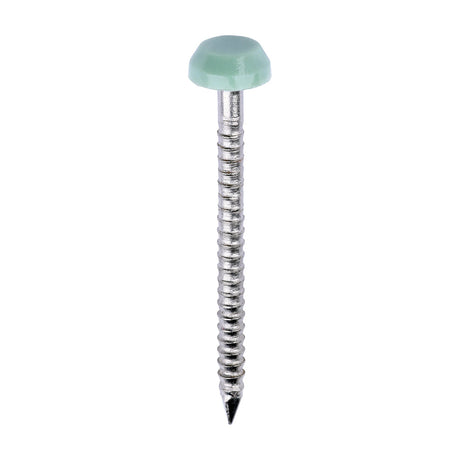 This is an image of Timco - Polymer Headed Pins - A4 Stainless Steel - Chartwell Green 30mm (250 PCS Box) PP30CG