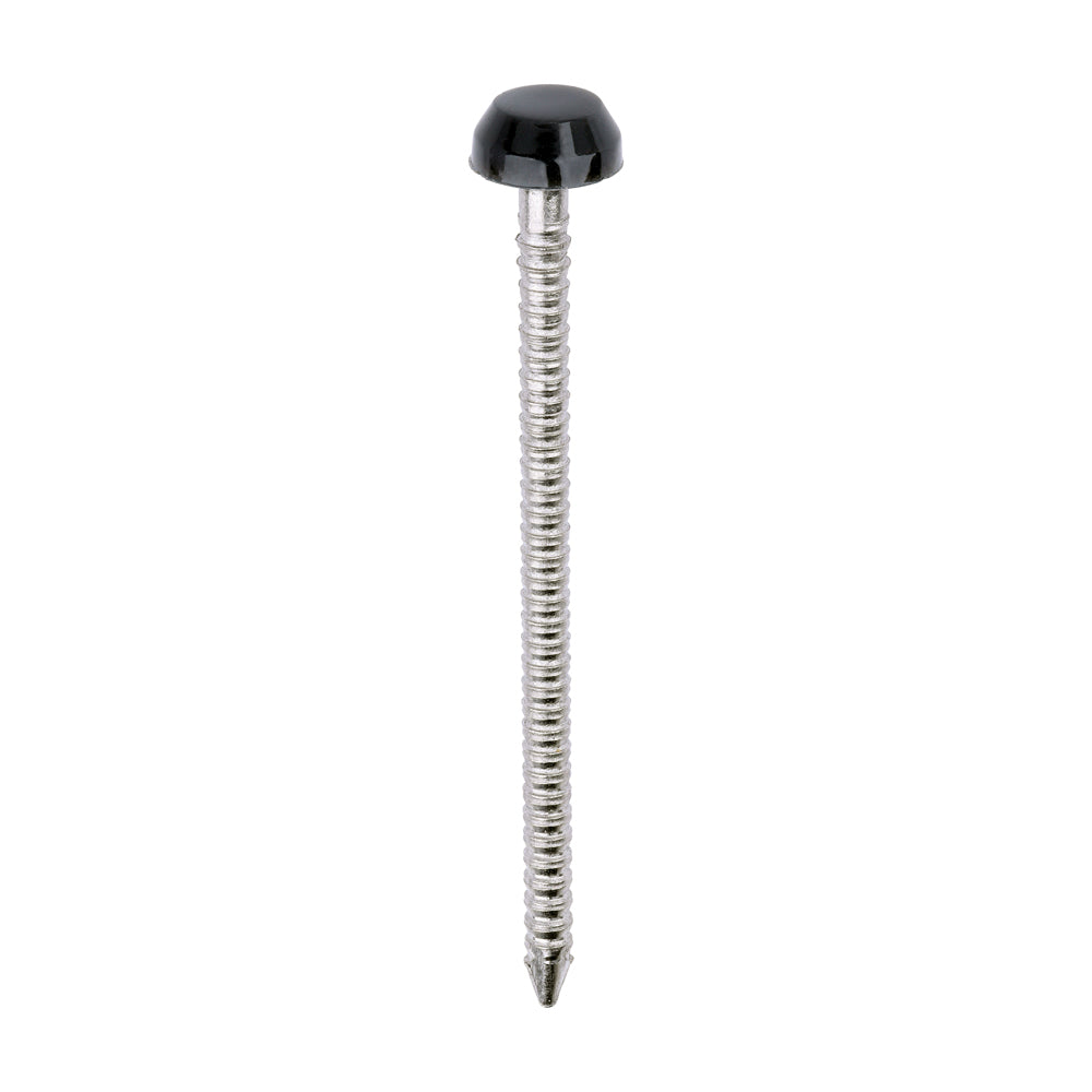 This is an image of Timco - Polymer Headed Pins - A4 Stainless Steel - Anthracite Grey 40mm (250 PCS Box) PP40AG