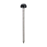 This is an image of Timco - Polymer Headed Pins - A4 Stainless Steel - Anthracite Grey 40mm (250 PCS Box) PP40AG