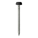 This is an image of Timco - Polymer Headed Pins - Stainless Steel - Black 40mm (50 PCS TIMpac) PP40BLP