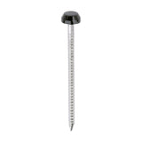 This is an image of Timco - Polymer Headed Pins - A4 Stainless Steel - Black 40mm (250 PCS Box) PP40BL