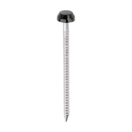 This is an image of Timco - Polymer Headed Pins - A4 Stainless Steel - Black 40mm (250 PCS Box) PP40BL