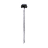 This is an image of Timco - Polymer Headed Pins - A4 Stainless Steel - Mahogany 40mm (250 PCS Box) PP40BR