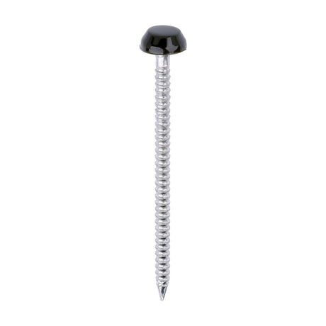 This is an image of Timco - Polymer Headed Pins - A4 Stainless Steel - Mahogany 40mm (250 PCS Box) PP40BR
