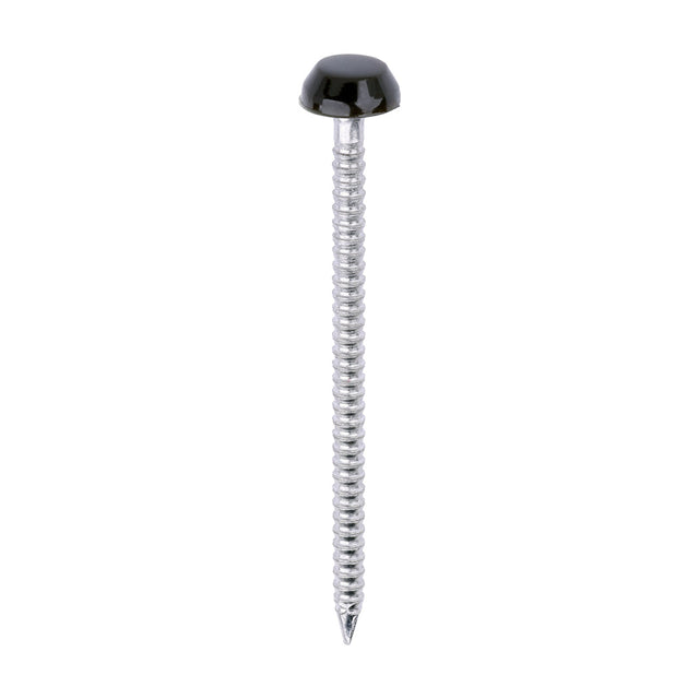 This is an image of Timco - Polymer Headed Pins - A4 Stainless Steel - Mahogany 40mm (250 PCS Box) PP40BR