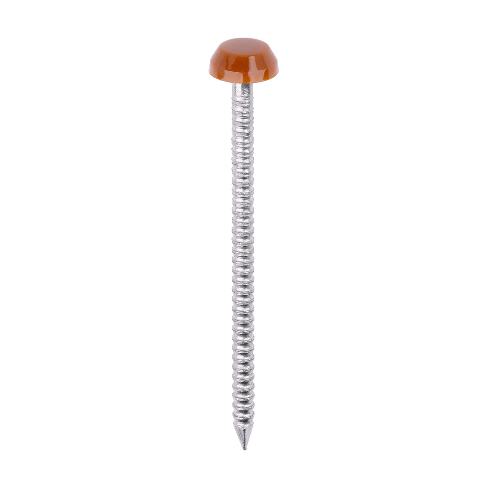 This is an image of Timco - Polymer Headed Pins - A4 Stainless Steel - Clay Brown 40mm (250 PCS Box) PP40CB