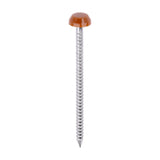 This is an image of Timco - Polymer Headed Pins - A4 Stainless Steel - Clay Brown 40mm (250 PCS Box) PP40CB
