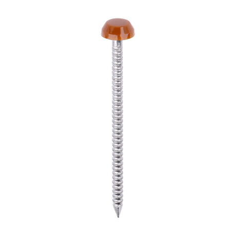 This is an image of Timco - Polymer Headed Pins - A4 Stainless Steel - Clay Brown 40mm (250 PCS Box) PP40CB