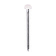 This is an image of Timco - Polymer Headed Pins - A4 Stainless Steel - Cream 40mm (250 PCS Box) PP40CC