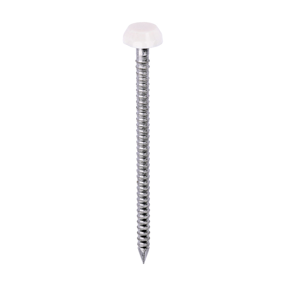 This is an image of Timco - Polymer Headed Pins - A4 Stainless Steel - Cream 40mm (250 PCS Box) PP40CC