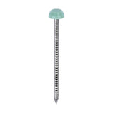 This is an image of Timco - Polymer Headed Pins - A4 Stainless Steel - Chartwell Green 40mm (250 PCS Box) PP40CG