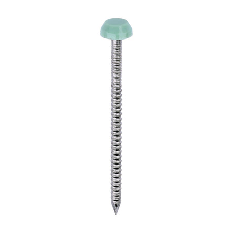 This is an image of Timco - Polymer Headed Pins - A4 Stainless Steel - Chartwell Green 40mm (250 PCS Box) PP40CG