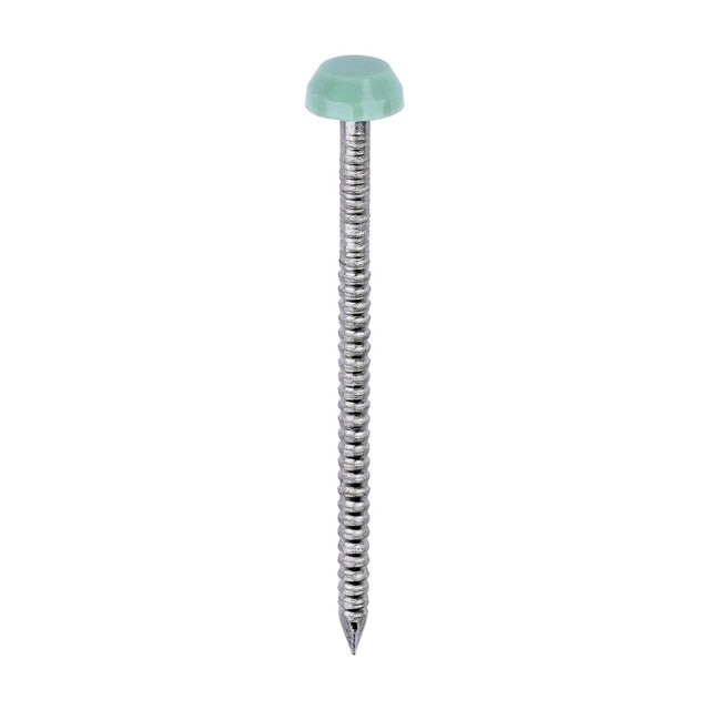 This is an image of Timco - Polymer Headed Pins - A4 Stainless Steel - Chartwell Green 40mm (250 PCS Box) PP40CG
