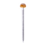 This is an image of Timco - Polymer Headed Pins - A4 Stainless Steel - Oak 40mm (250 PCS Box) PP40O