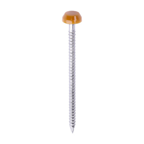 This is an image of Timco - Polymer Headed Pins - A4 Stainless Steel - Oak 40mm (250 PCS Box) PP40O