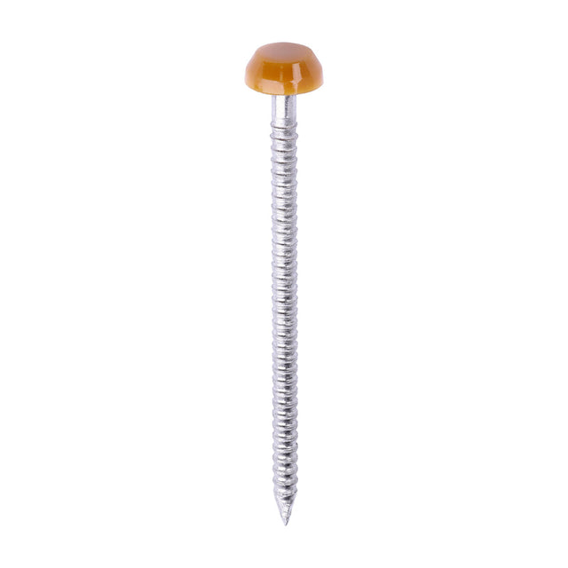 This is an image of Timco - Polymer Headed Pins - A4 Stainless Steel - Oak 40mm (250 PCS Box) PP40O