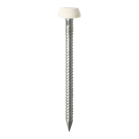 This is an image of Timco - Polymer Headed Pins - Stainless Steel - White 40mm (50 PCS TIMpac) PP40WP