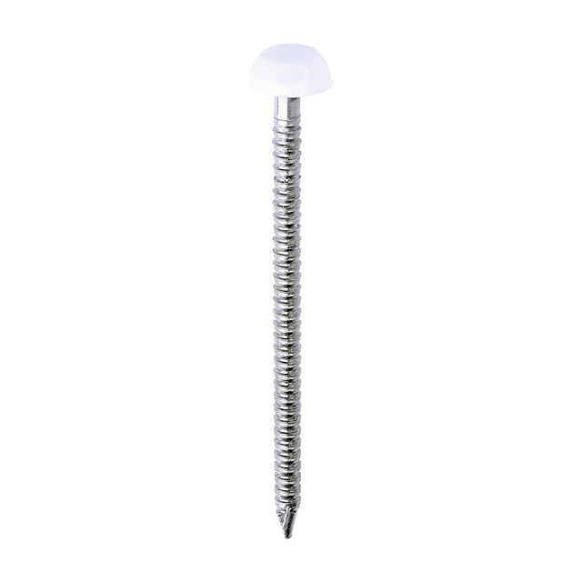 This is an image of Timco - Polymer Headed Pins - A4 Stainless Steel - White 40mm (250 PCS Box) PP40W