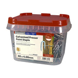 This is an image of Timco - Presser Point Staples - Galvanised 40 x 4.00mm (2.5 Kg TIMtub) PPS40T