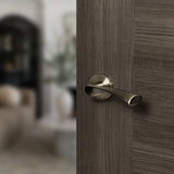 Quality image of STATUS Colorado Lever Door Handle on Round Rose - Antique Brass | Sku. s34rab | available from Trade Door Handles.
