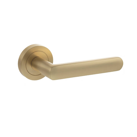 Quality image of STATUS Carolina Lever Door Handle on Round Rose - Satin Brass | Sku. s42rsb | available from Trade Door Handles.