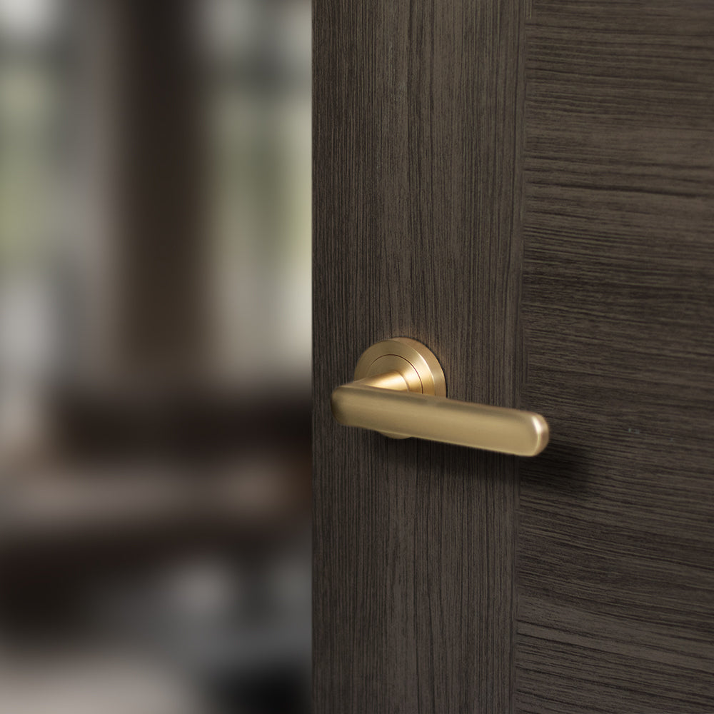 Quality image of STATUS Carolina Lever Door Handle on Round Rose - Satin Brass | Sku. s42rsb | available from Trade Door Handles.