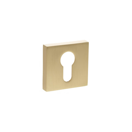 Quality image of STATUS Euro Escutcheons on S4 Square Rose - Satin Brass | Sku. s4escessb | available from Trade Door Handles.