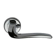 High quality image of the Sorrento Door Handle Lever Latch on Round Rose Capri Design Polished Chrome Finish | Sku. sc-4262-pc | Discounted prices available from Trade Door Handles