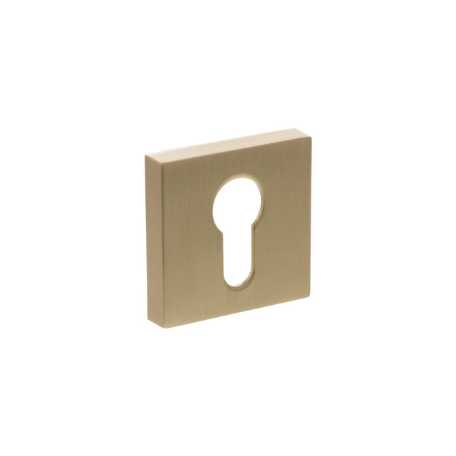 Quality image of Senza Pari Euro Escutcheons on Minimal Square Rose - Satin Brass | Sku. spescesb | available from Trade Door Handles.