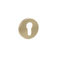 Quality image of Senza Pari Euro Escutcheons on Minimal Round Rose - Satin Brass | Sku. sprescesb | available from Trade Door Handles.