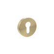 Quality image of Senza Pari Euro Escutcheons on Round Rose - Satin Brass | Sku. sproescesb | available from Trade Door Handles.