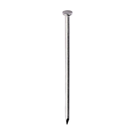 This is an image of Timco - Round Wire Nails - Stainless Steel 100 x 4.00mm (1 Kg TIMbag) SSRW100B