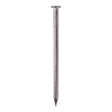 This is an image of Timco - Round Wire Nails - Stainless Steel 150 x 6.00mm (10 Kg Carton) SSRW150