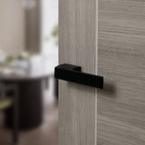 Quality image of Tupai Rapido RetaLine Panela Lever Door Handle on Long Rose - Pearl Black | Sku. t3099lmb | available from Trade Door Handles.