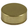 This is an image of Timco - Threaded Screw Caps - Solid Brass - Satin 12mm - (4 PCS TIMpac) TSC12SBP