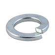 This is an image of Timco - Spring Washers - Zinc M8 - (20 PCS TIMpac) WSP8ZP