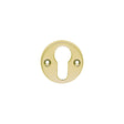 High quality image of Carlisle Brass - Euro Profile Escutcheon - Polished Brass | Sku. aa145 | Trade Door Handles.