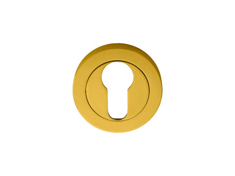 High quality image of Manital - Euro Profile Escutcheon - Polished Brass | Sku. aa1 | Trade Door Handles.