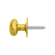 High quality image of Carlisle Brass - Oval Thumb Turn - Polished Brass | Sku. aa33 | Trade Door Handles.