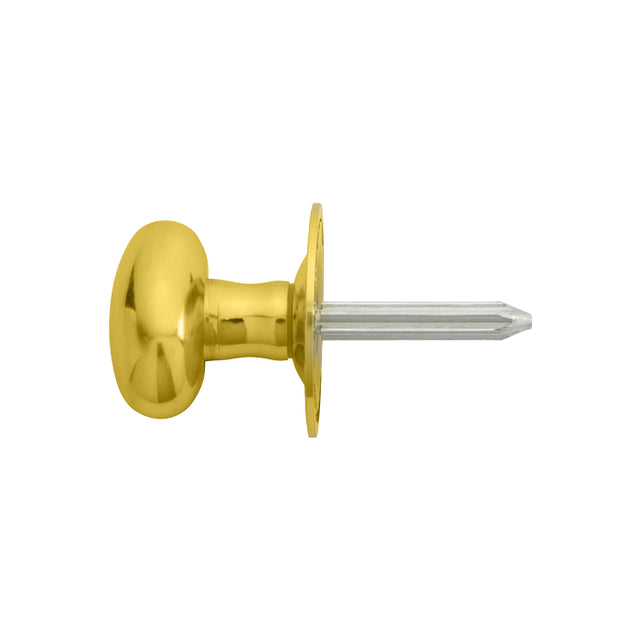 High quality image of Carlisle Brass - Oval Thumb Turn - Polished Brass | Sku. aa33 | Trade Door Handles.